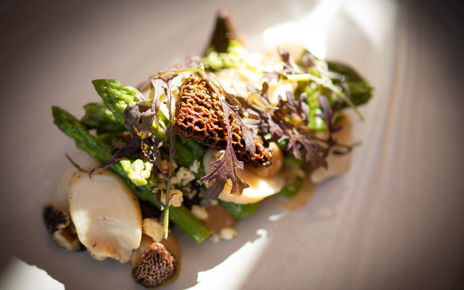 A Plate Of Food With Asparagus, morels and razor clams